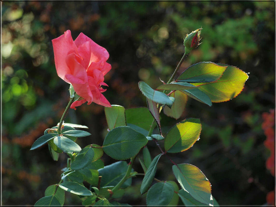 ��� ������ ������ ����� ������  �� PhotoGeek.ru #������ ��� �������