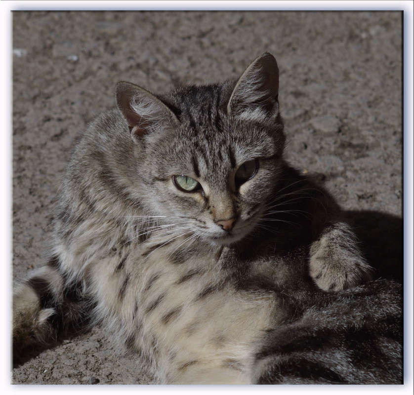 � ��� ������ ����� ������  �� PhotoGeek.ru #�������� ���