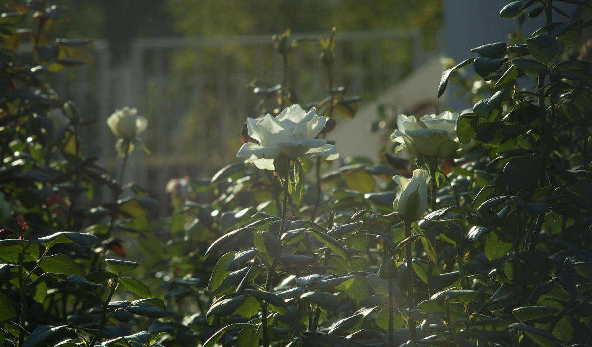 "��� �� ���" ����� ������  �� PhotoGeek.ru #������ ��� �������