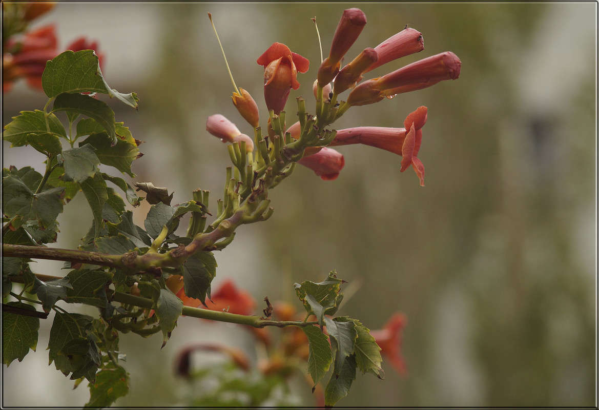 "������� 3" ����� ������  �� PhotoGeek.ru #������ ��� �������