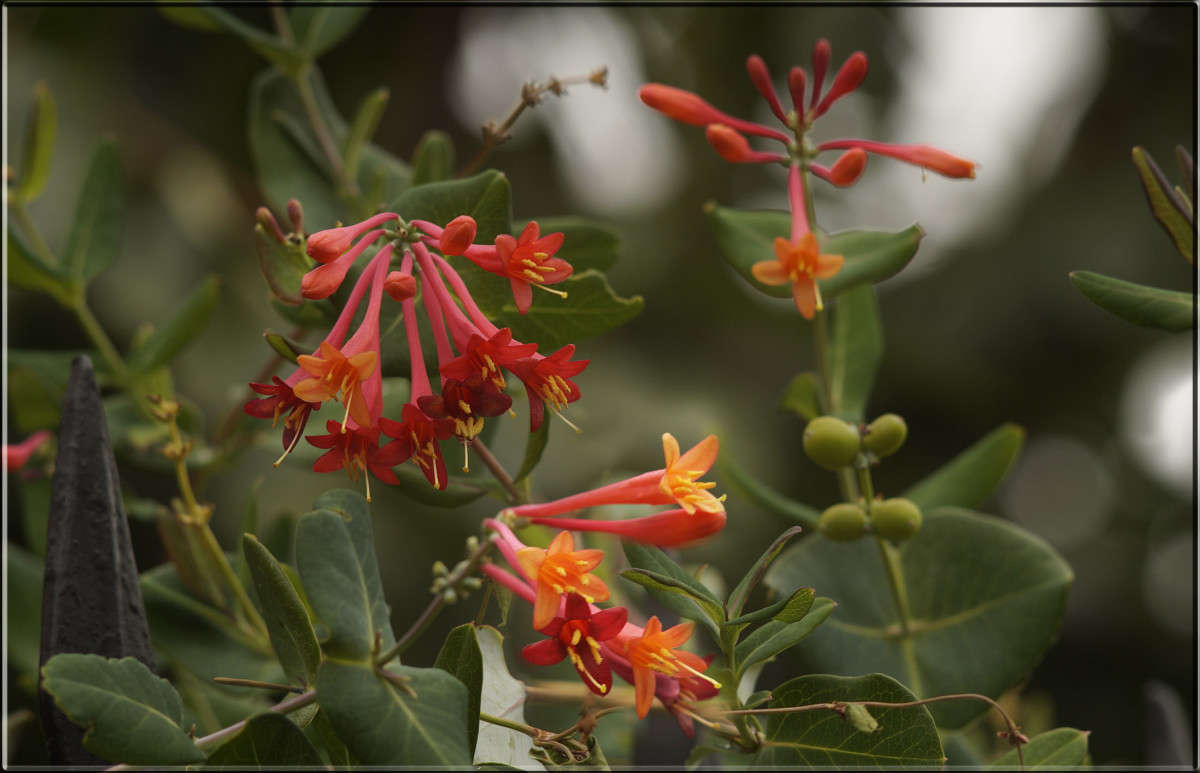 "�������" ����� ������  �� PhotoGeek.ru #������ ��� �������