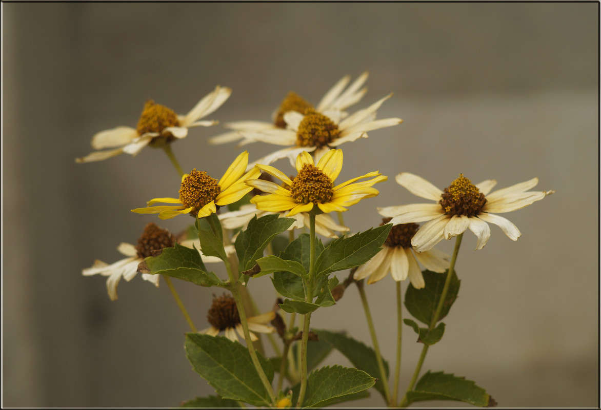 "����������" ����� ������  �� PhotoGeek.ru #������ ��� �������