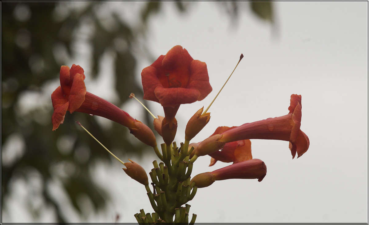 "������� 2" ����� ������  �� PhotoGeek.ru #������ ��� �������