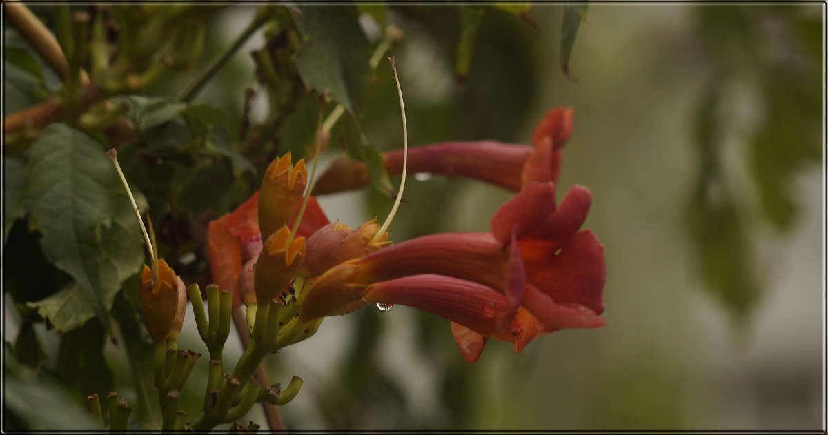 "�������" ����� ������  �� PhotoGeek.ru #������ ��� �������