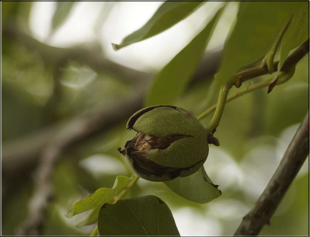 ���� � ����� ����� ������  �� PhotoGeek.ru #������ ��� �������