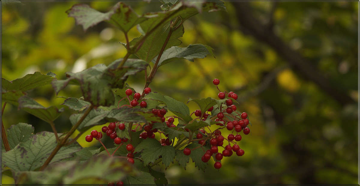 "������ �������" ����� ������  �� PhotoGeek.ru #������ ��� �������