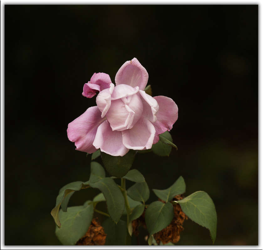 "������� ����" ����� ������  �� PhotoGeek.ru #������ ��� �������