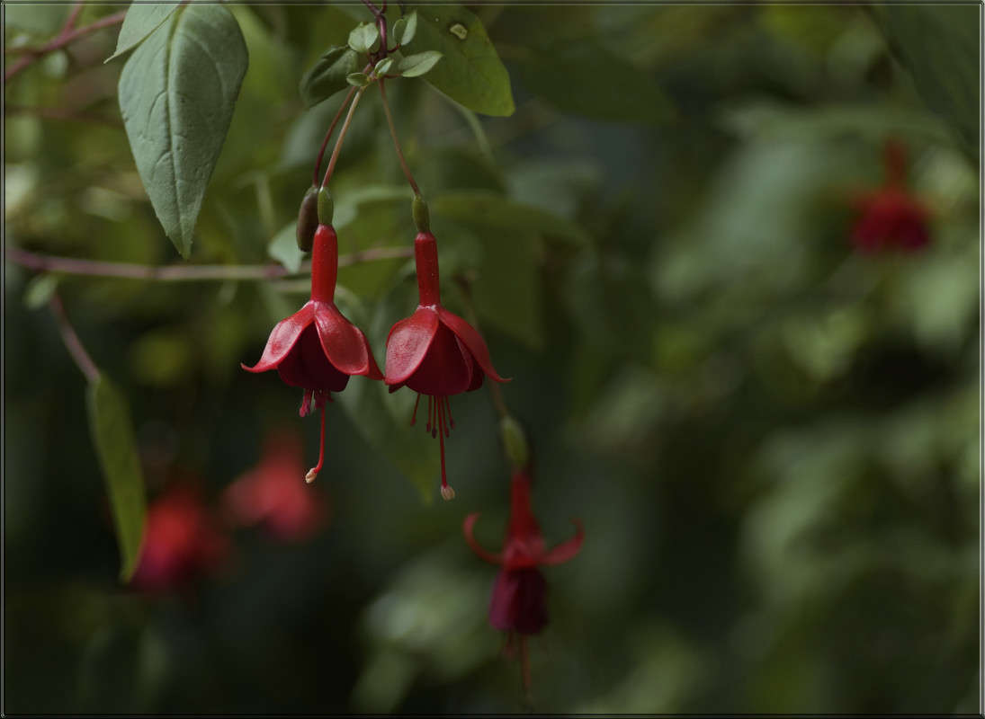 "�������������" ����� ������  �� PhotoGeek.ru #������ ��� �������