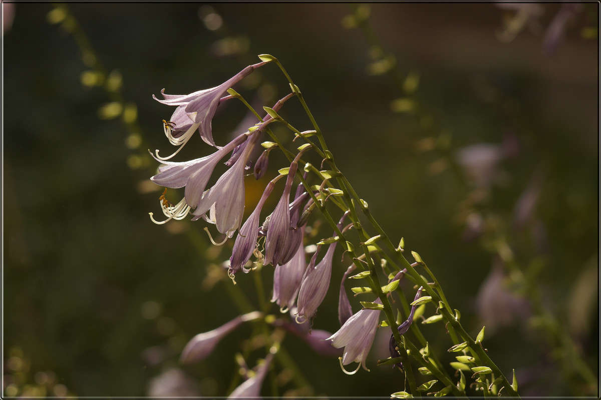 "�� ������� ������" ����� ������  �� PhotoGeek.ru #������ ��� �������