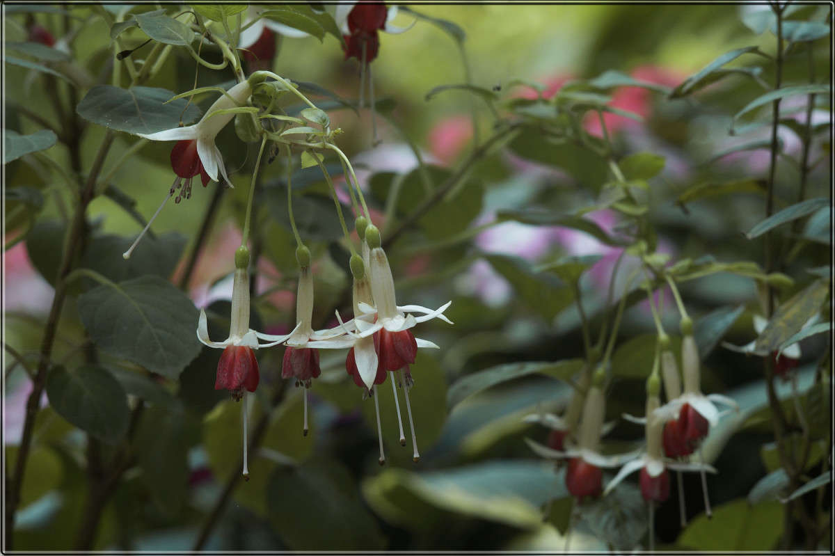 "������� ������" ����� ������  �� PhotoGeek.ru #������ ��� �������