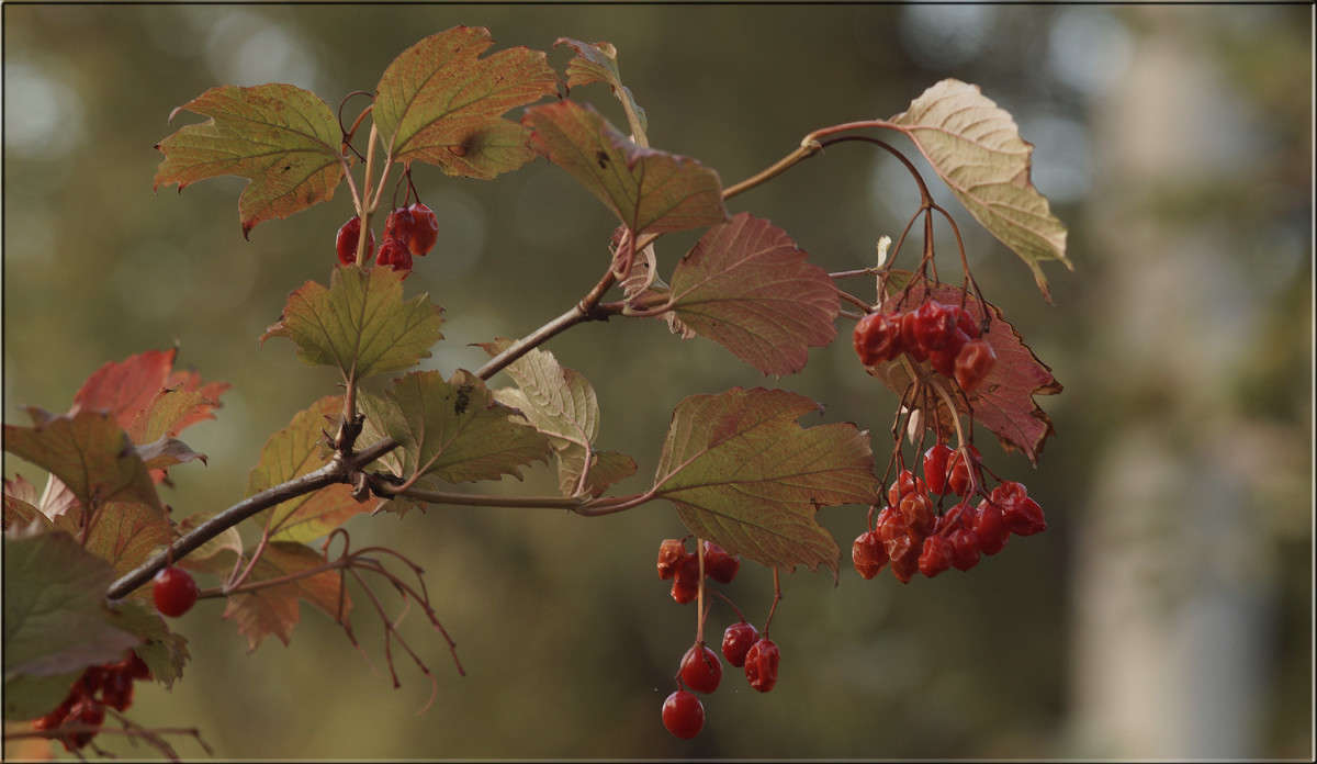 ������ ������� 2 ����� ������  �� PhotoGeek.ru #������ ��� �������