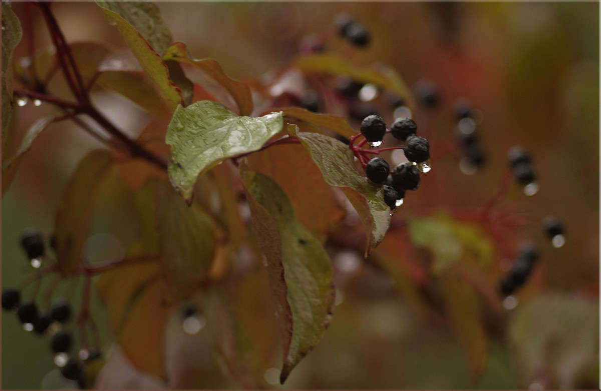 ����� ����� ����� ����� ������  �� PhotoGeek.ru #������ ��� �������