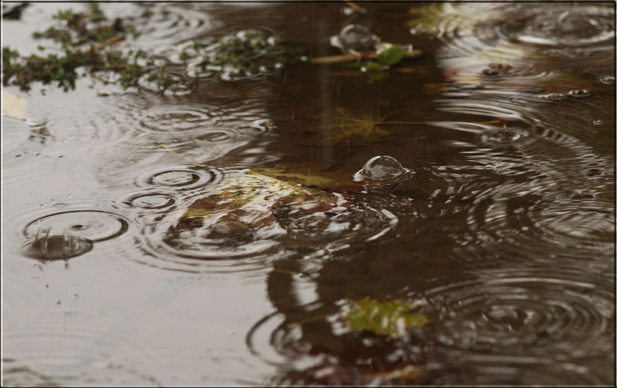 "����� ����� ����� ������" ����� ������  �� PhotoGeek.ru #������ ��� �������