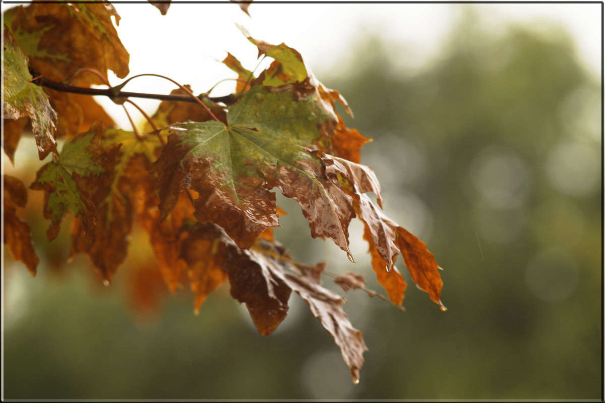 "����� ����� ����� 2" ����� ������  �� PhotoGeek.ru #������ ��� �������