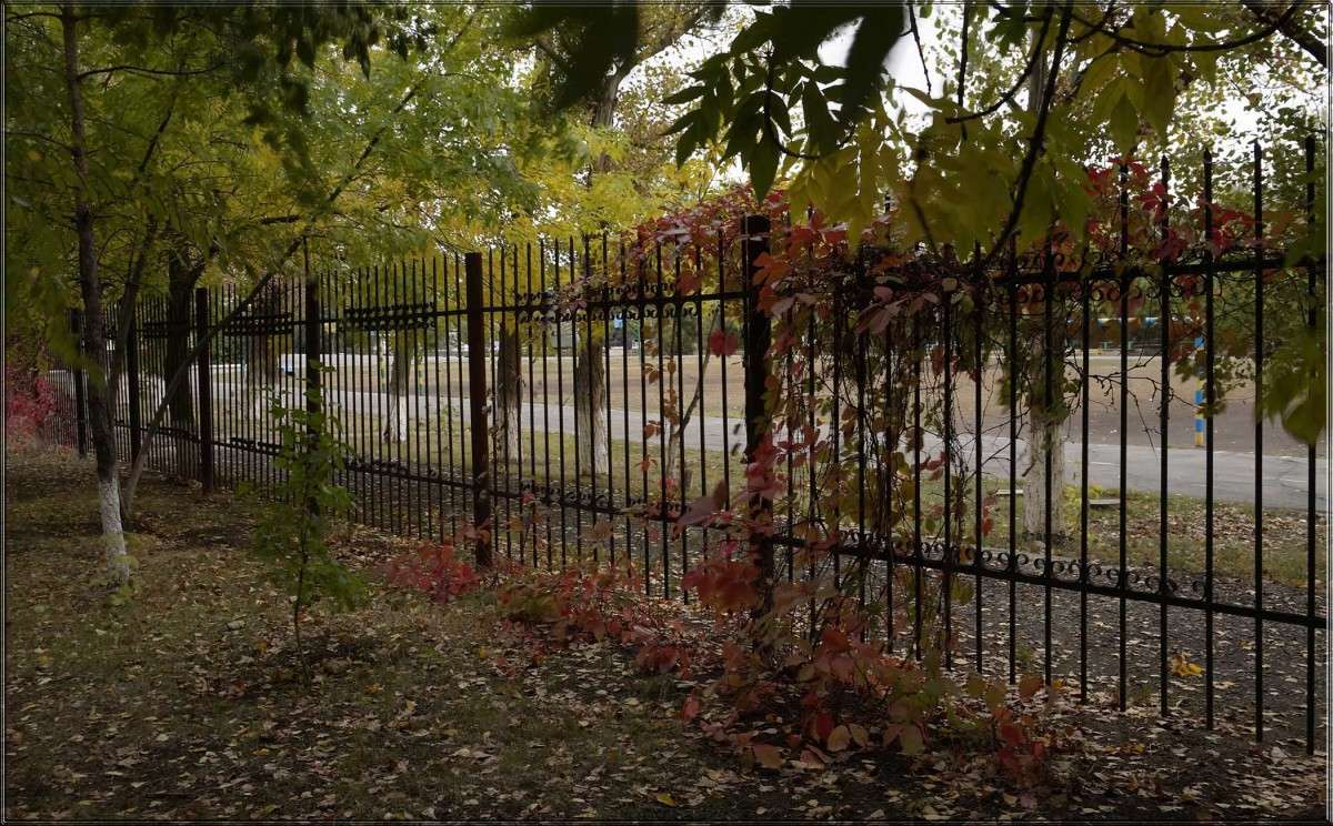 "����� �������" ����� ������  �� PhotoGeek.ru #�����