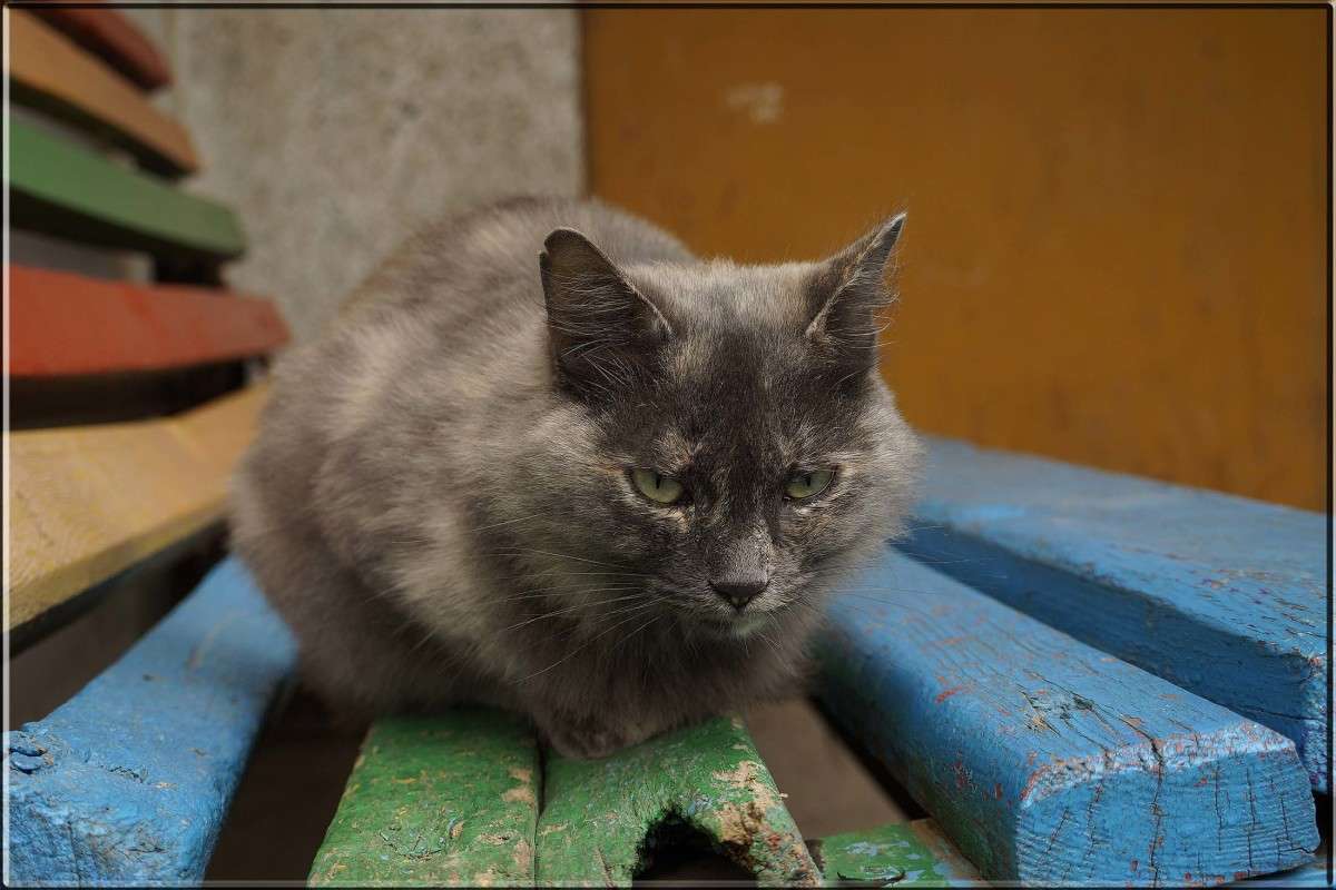 ������� ������ ����� ������  �� PhotoGeek.ru #�������� ���