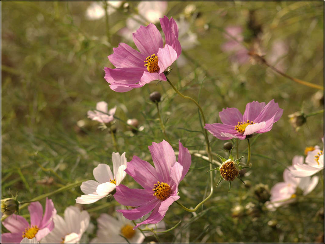 ����� � ������� ����� ������  �� PhotoGeek.ru #������ ��� �������