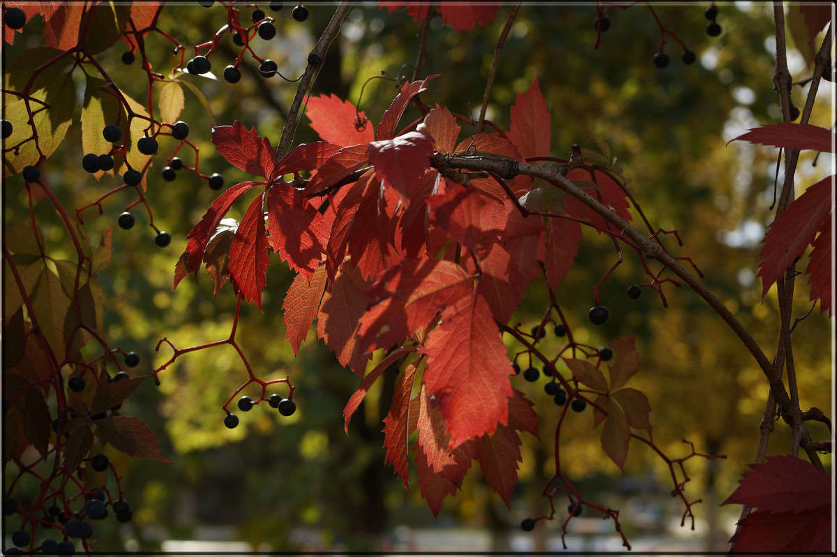 "�����������" ����� ������  �� PhotoGeek.ru #������ ��� �������