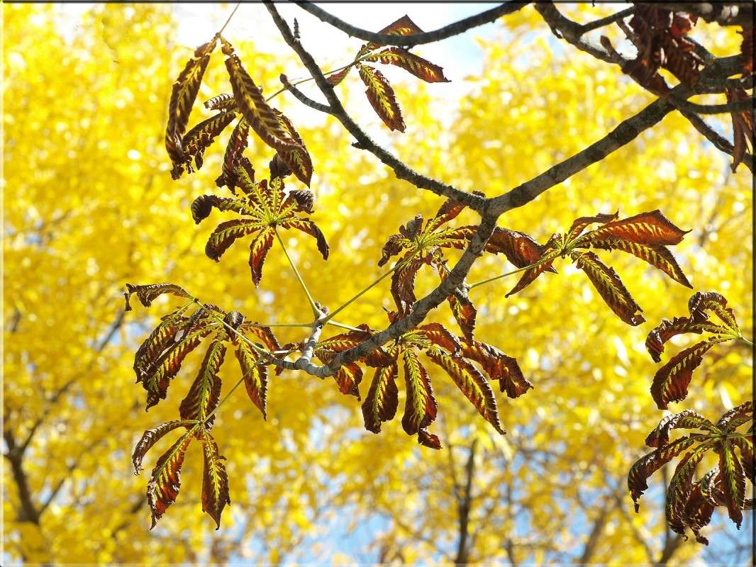 ����� ����� ����� ������  �� PhotoGeek.ru #������ ��� �������