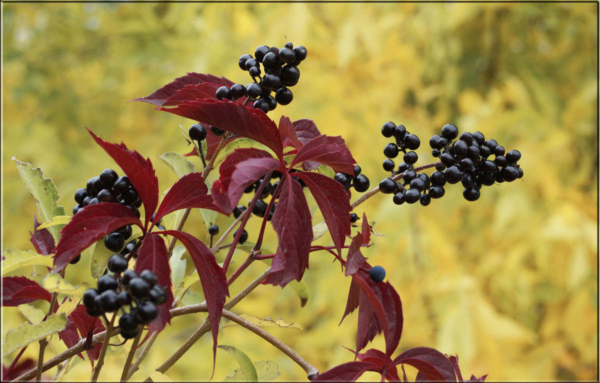 "����� ����� 2" ����� ������  �� PhotoGeek.ru #������ ��� �������