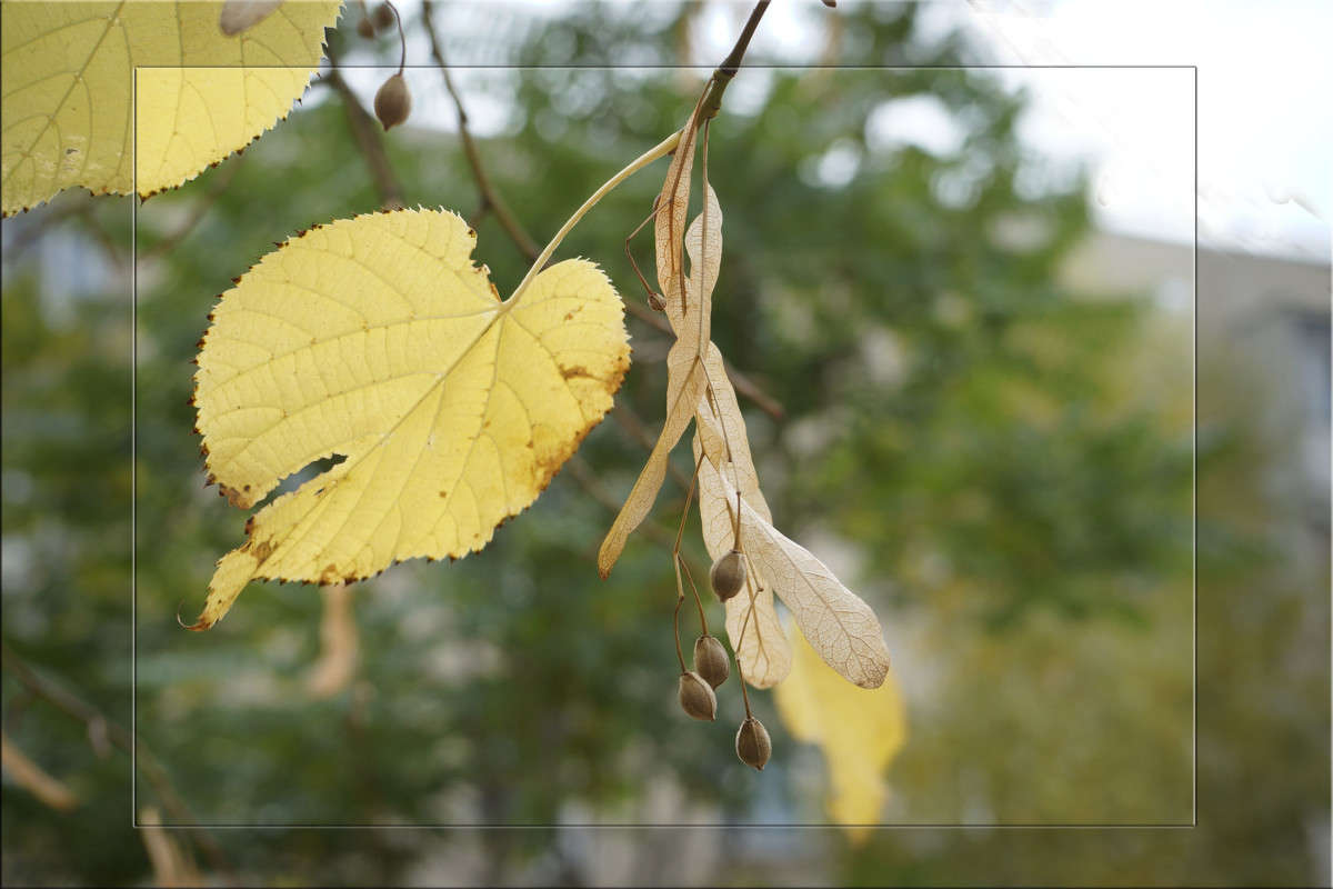 "���� ����� ������ 2" ����� ������  �� PhotoGeek.ru #������ ��� �������