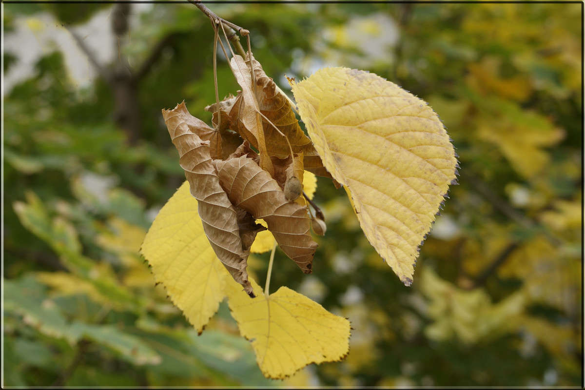 "���� ����� ������" ����� ������  �� PhotoGeek.ru #������ ��� �������