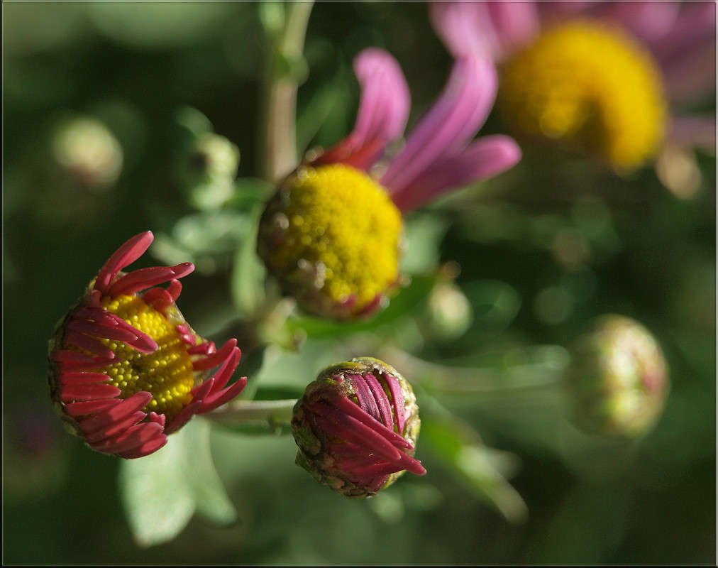 "��������� ������� ����� 2" ����� ������  �� PhotoGeek.ru #������ ��� �������