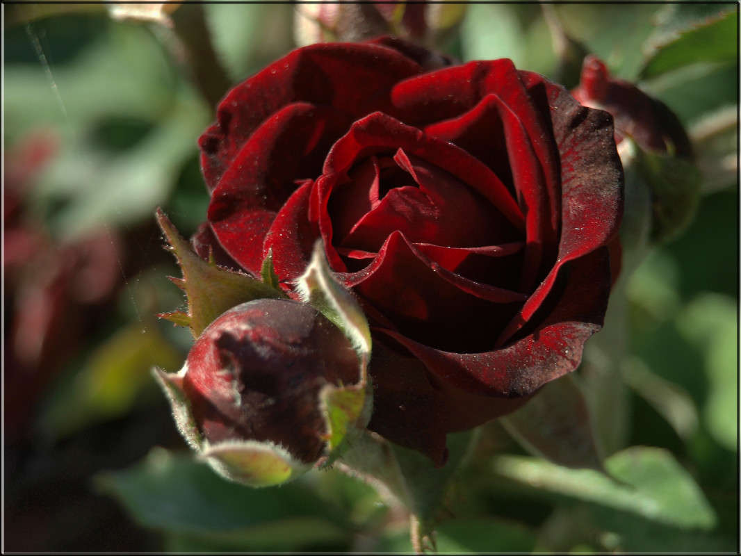 "�������� �����������" ����� ������  �� PhotoGeek.ru #������ ��� �������