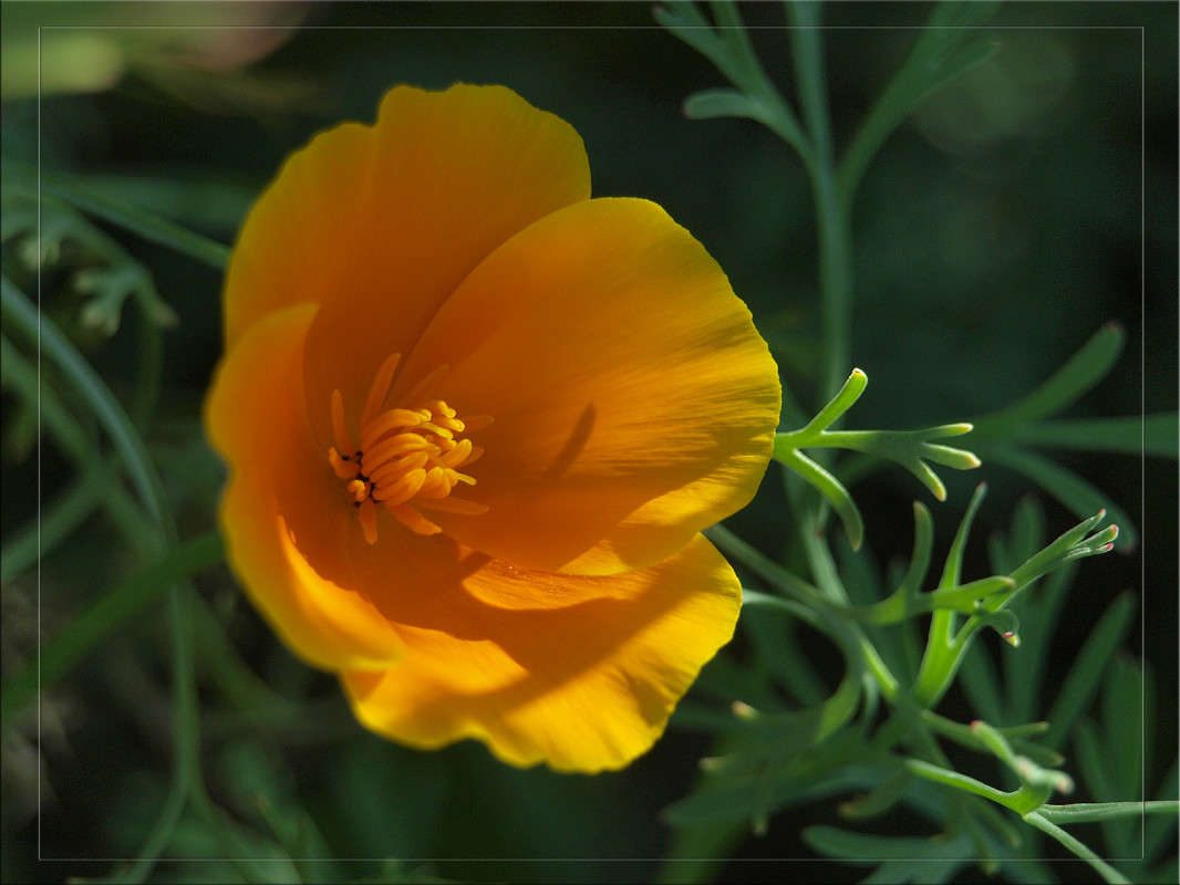 "��������� ������� �����" ����� ������  �� PhotoGeek.ru #������ ��� �������