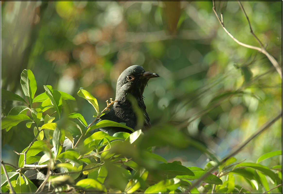 " "����� �������" ����� ������  �� PhotoGeek.ru #�������� ���