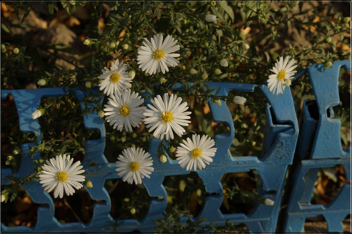 �� ������� ����� ������  �� PhotoGeek.ru #������ ��� �������