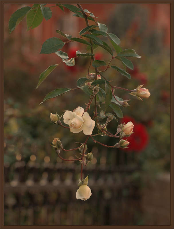 ������� � ������� ����� ������  �� PhotoGeek.ru #������ ��� �������