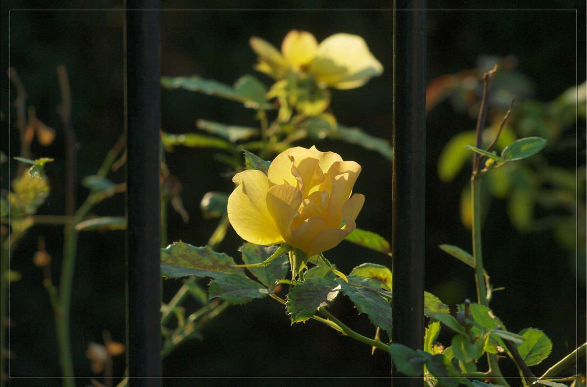 ������� 2 ����� ������  �� PhotoGeek.ru #������ ��� �������