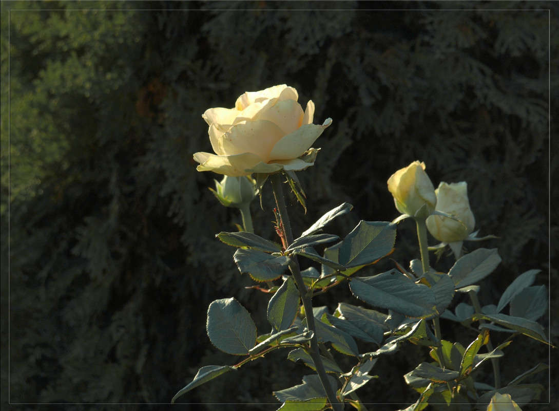 ������� ����� ������  �� PhotoGeek.ru #������ ��� �������