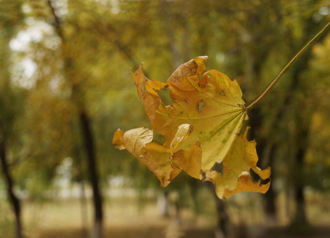 "���� �� ��������" ����� ������  �� PhotoGeek.ru #������ ��� �������