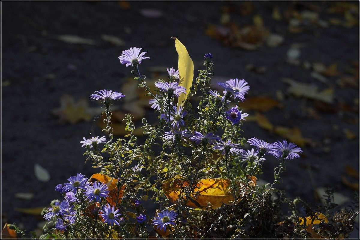 ��������� ������� ����� ������  �� PhotoGeek.ru #������ ��� �������