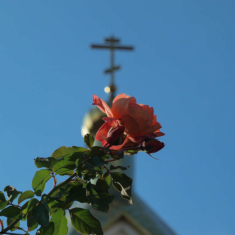 ������ ����� ������  �� PhotoGeek.ru #������ ��� �������