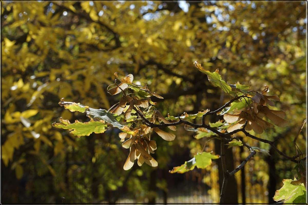 "�������� ����� 4" ����� ������  �� PhotoGeek.ru #������ ��� �������