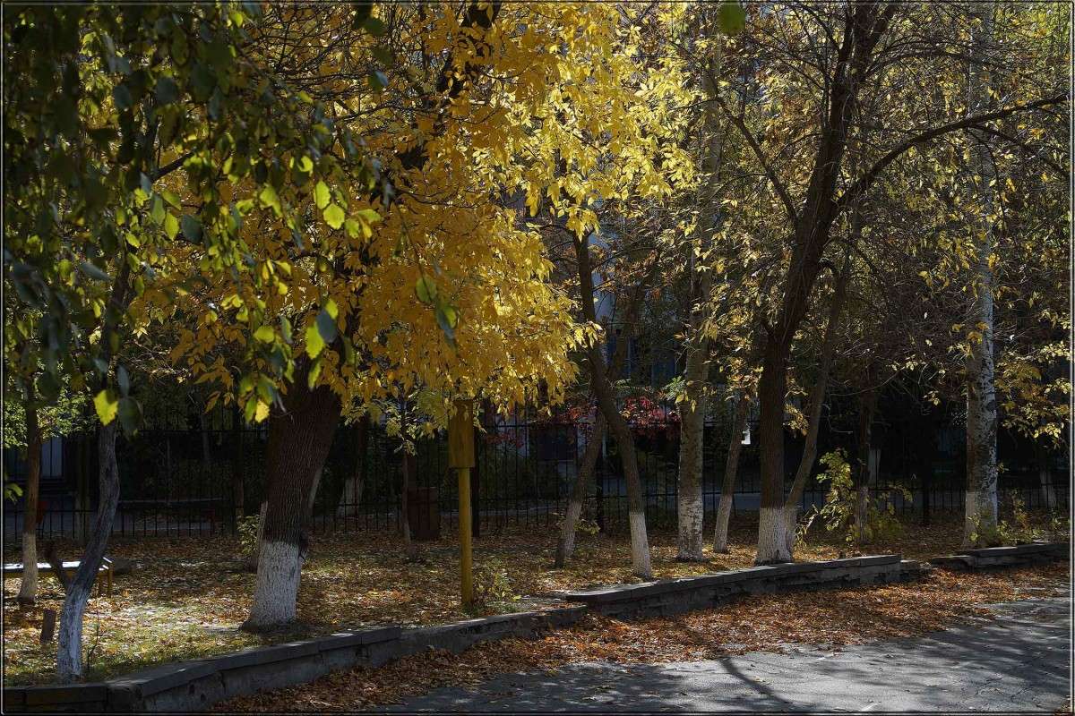 "�������� ����� 3" ����� ������  �� PhotoGeek.ru #������ ��� �������