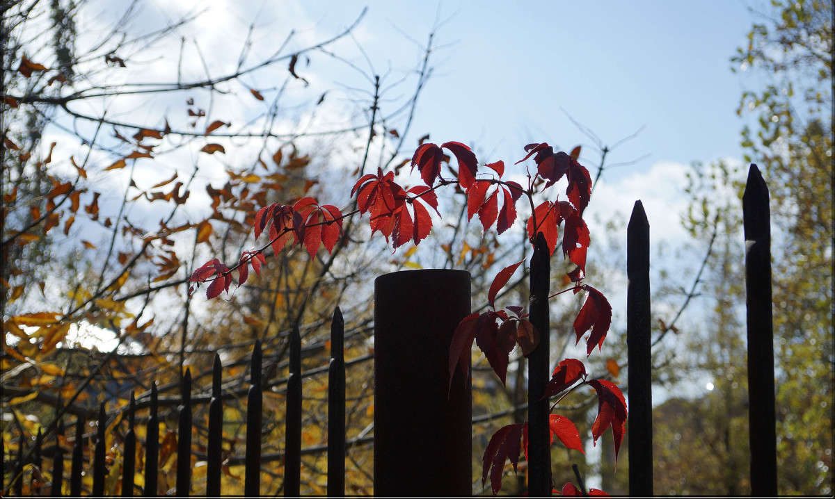 "�������� �����" ����� ������  �� PhotoGeek.ru #������ ��� �������