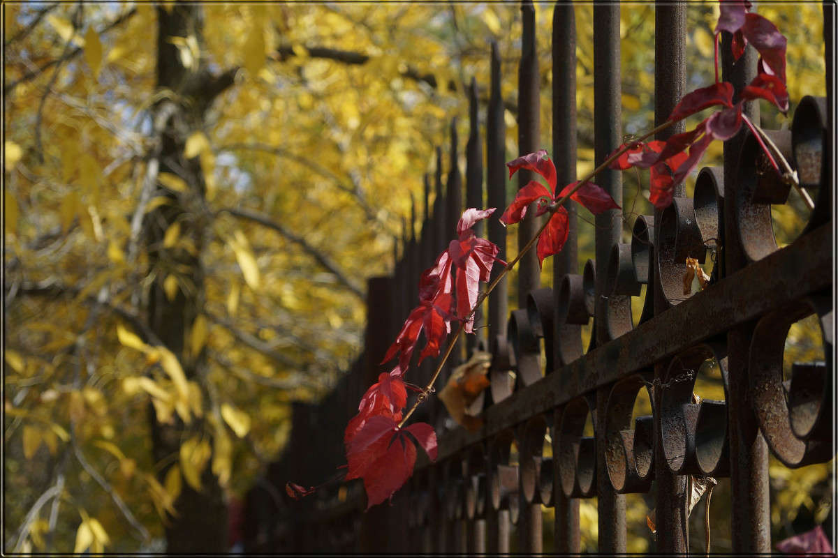 "�������� ����� 2" ����� ������  �� PhotoGeek.ru #������ ��� �������