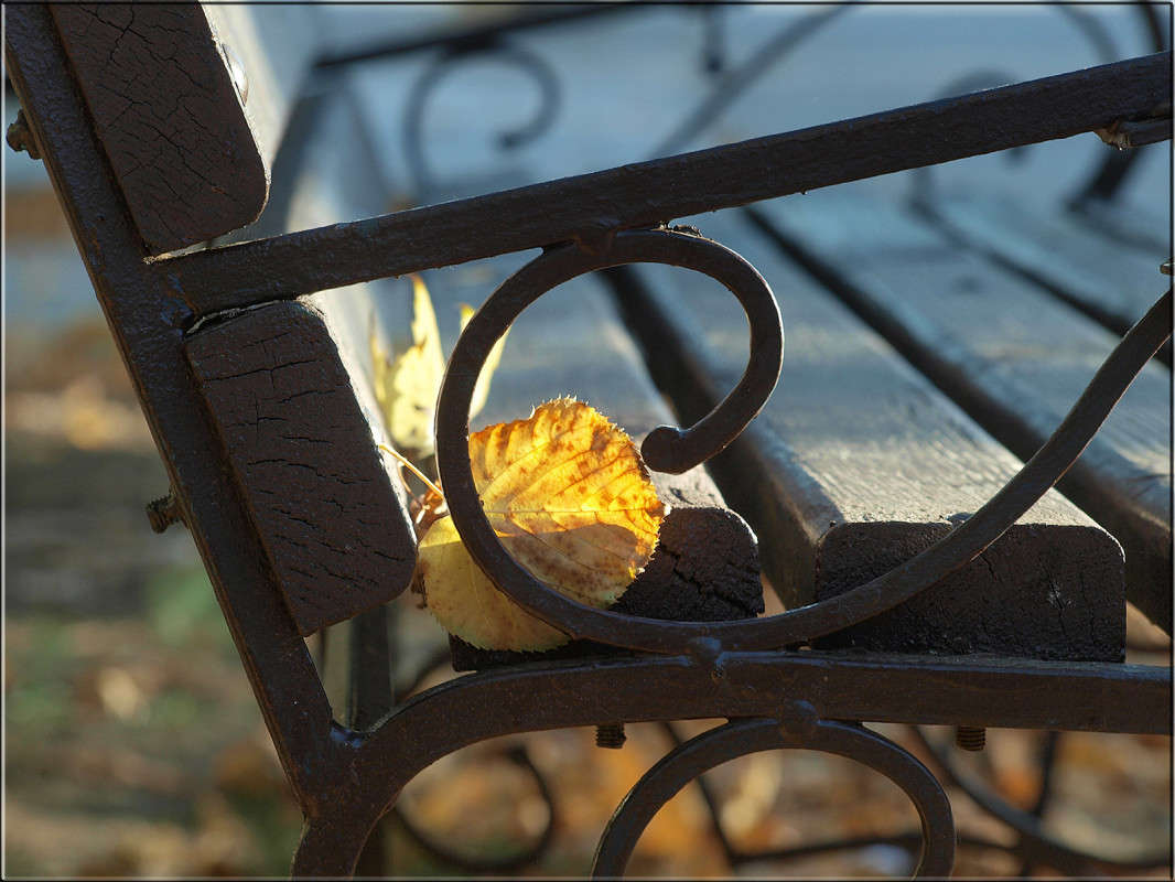 �� ������� �� ����� ����� ������  �� PhotoGeek.ru #������ ��� �������