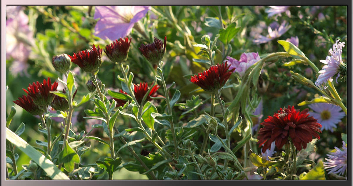 ������� ������� ����� ������  �� PhotoGeek.ru #������ ��� �������