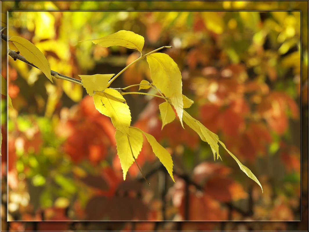 ��� ������� ����� ����� ������  �� PhotoGeek.ru #������ ��� �������