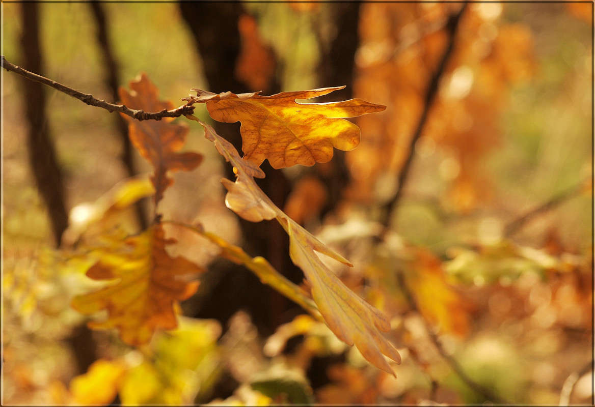 � ������ ���� ����� ������  �� PhotoGeek.ru #������ ��� �������