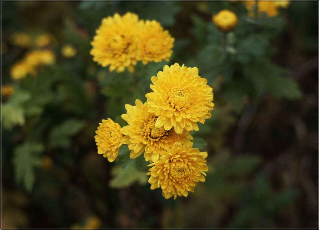 "����� ���� 5" ����� ������  �� PhotoGeek.ru #������ ��� �������