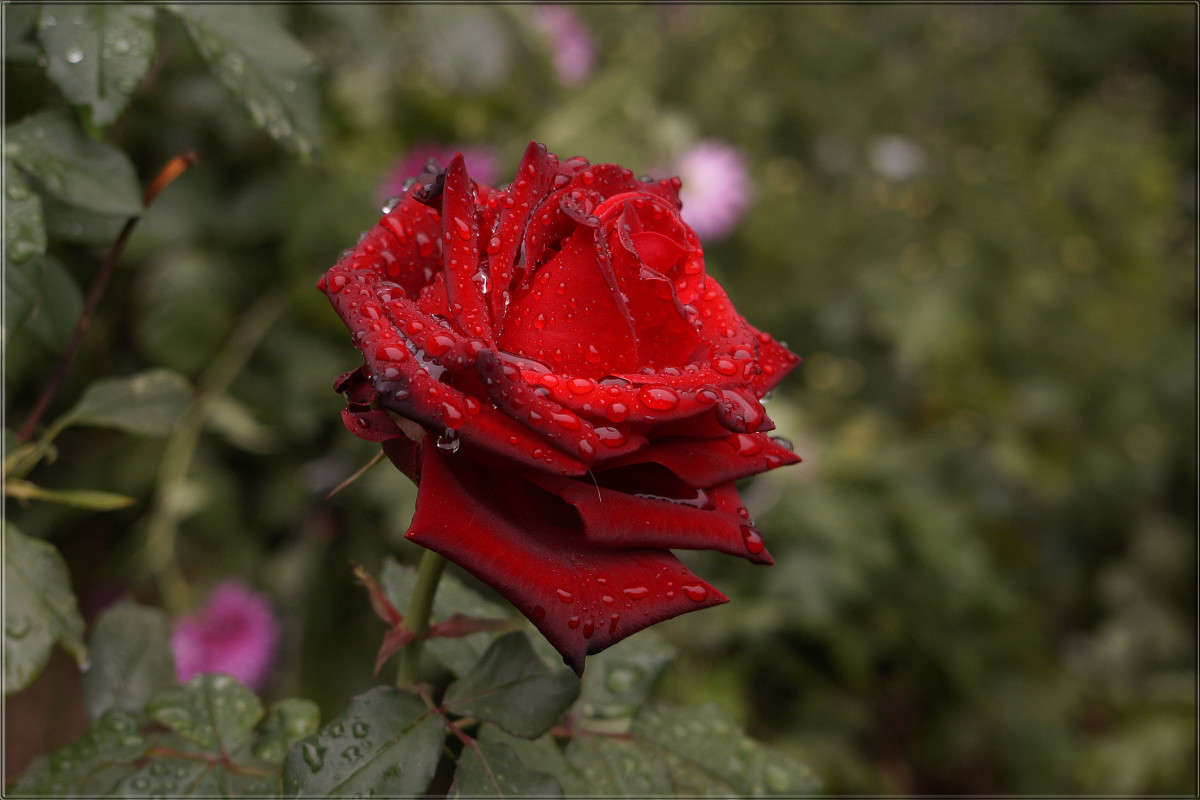 "����� ���� 5" ����� ������  �� PhotoGeek.ru #������ ��� �������