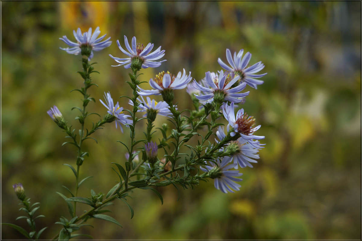 "����� ���� 3" ����� ������  �� PhotoGeek.ru #������ ��� �������