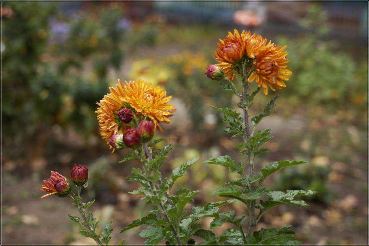 "����� ����" ����� ������  �� PhotoGeek.ru #������ ��� �������