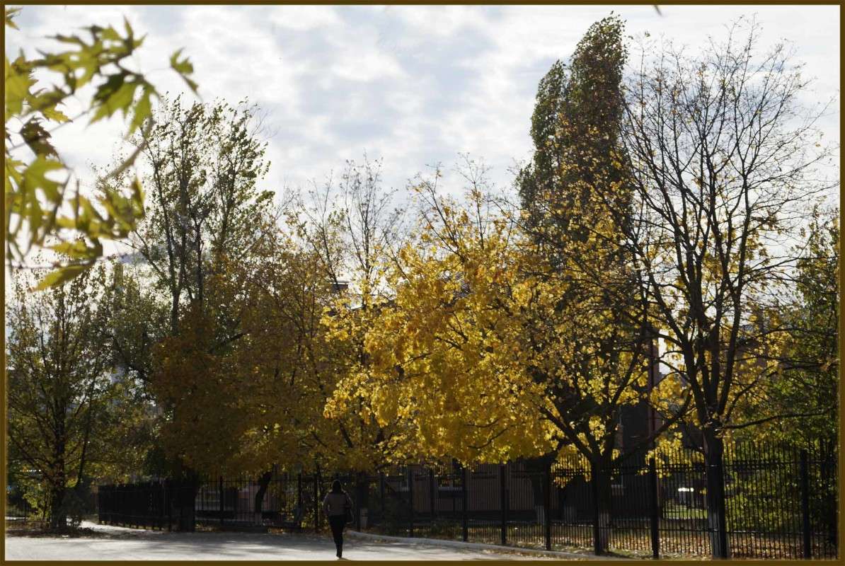 "������� � 11 �����" ����� ������  �� PhotoGeek.ru #������ ��� �������